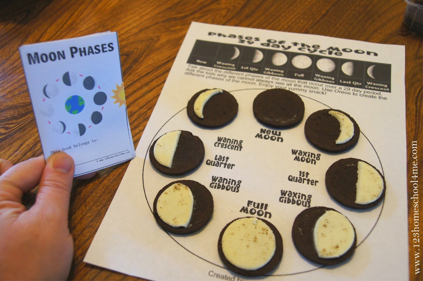 Free Moon Phases Mini