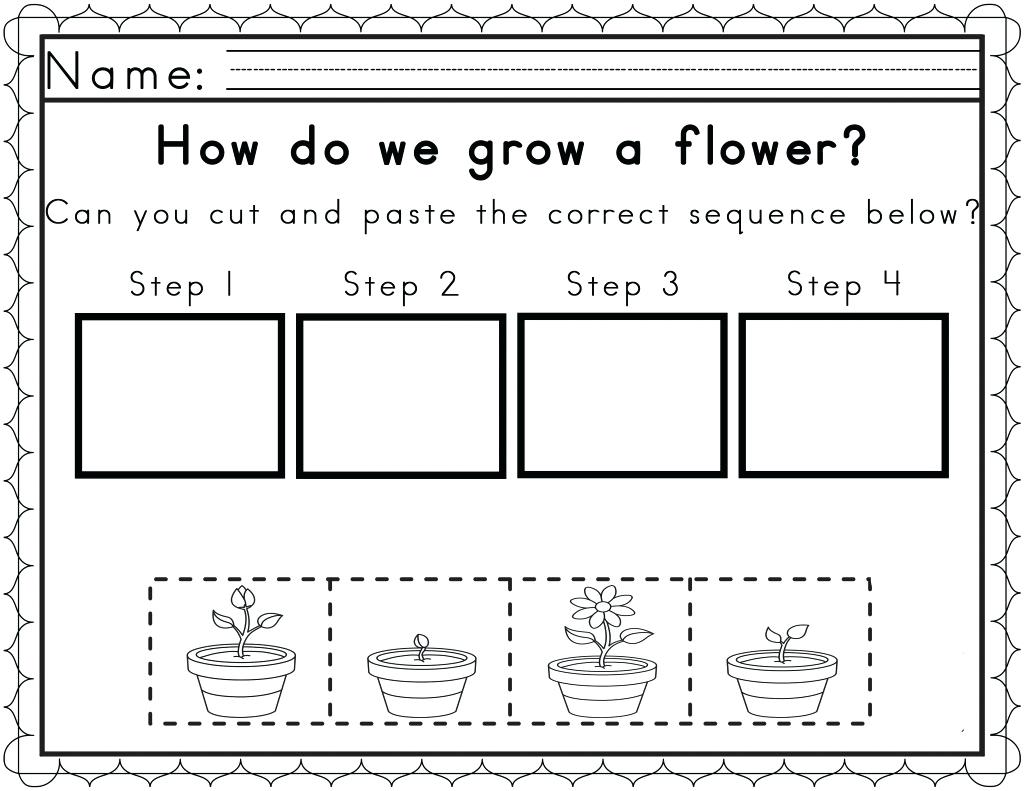 Free Plant Printables For Kindergarten
