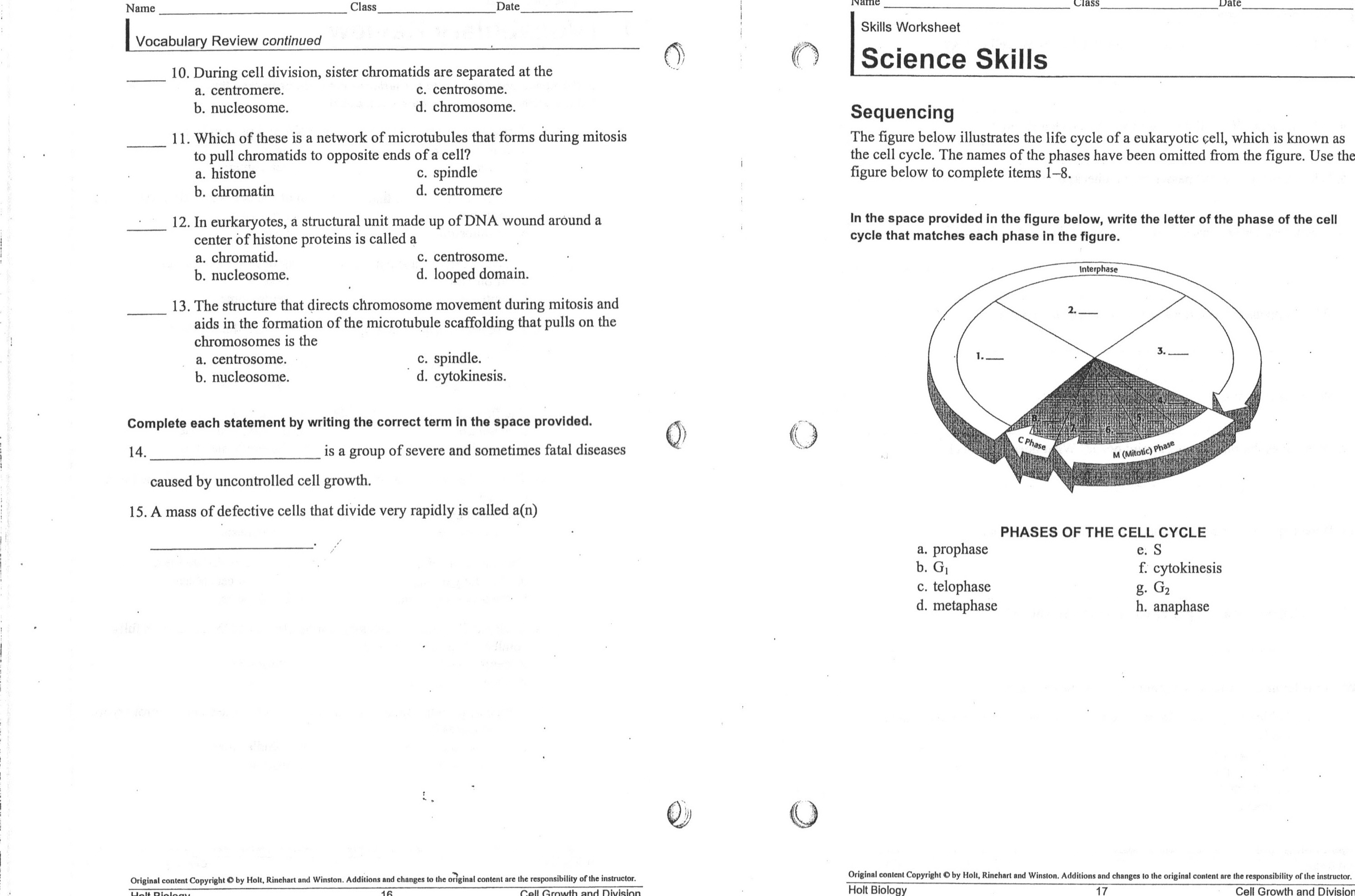 Free Worksheets Library