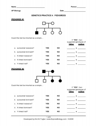Genetics Pedigree Worksheet Com