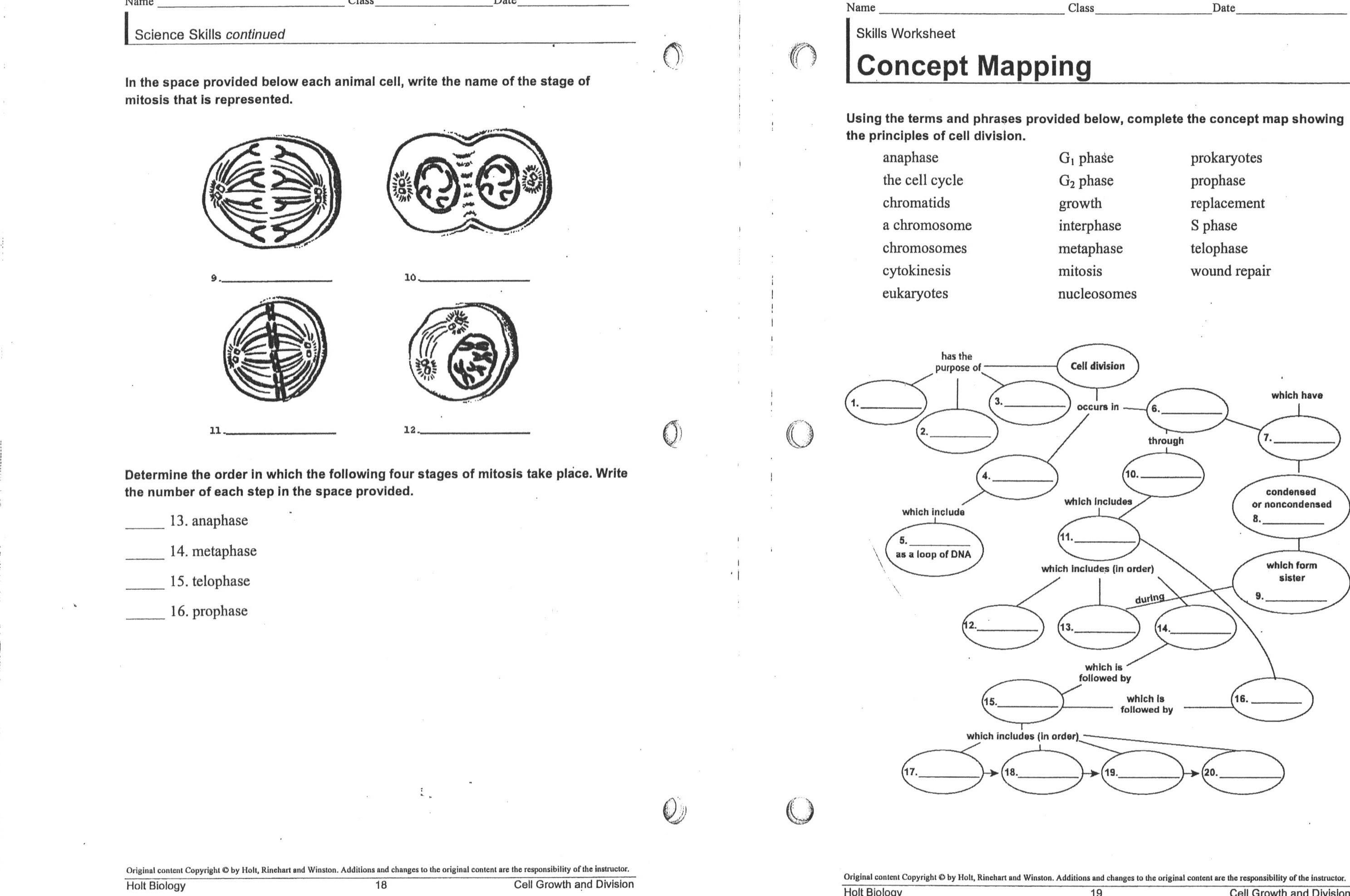 High School Biology Worksheets The Best Worksheets Image