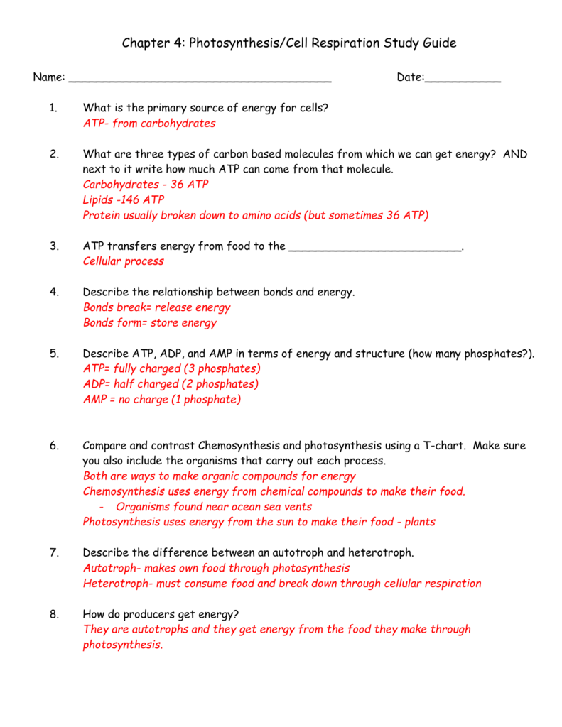 How Does The Mitochondria Produce Energy For The Cell Worksheet