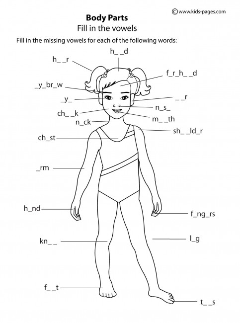 Human Body Worksheets Pdf The Best Worksheets Image Collection