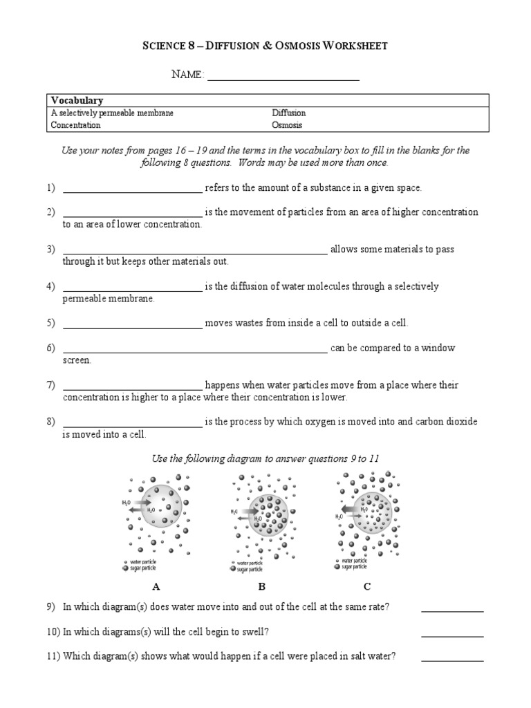 Kids  Osmosis Worksheet  Diffusion Osmosis Worksheet Kidz