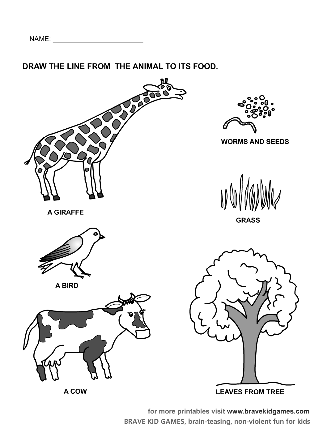 Kindergarten Worksheets Preschool Printables For Zoo Animal