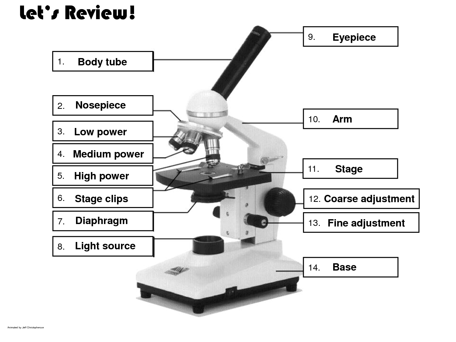 Label A Microscope Worksheet