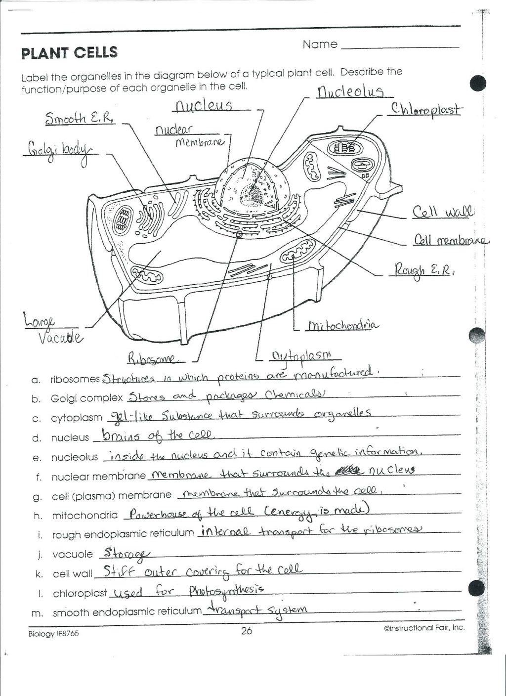 Label Cell Organelles Worksheet Image Collections