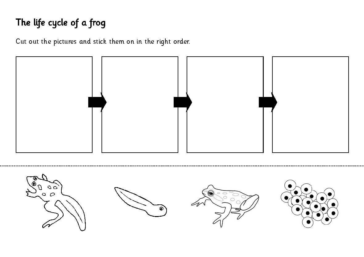 Likesoy Â» Water Cycle Worksheet Kindergarten Great Coloring Page
