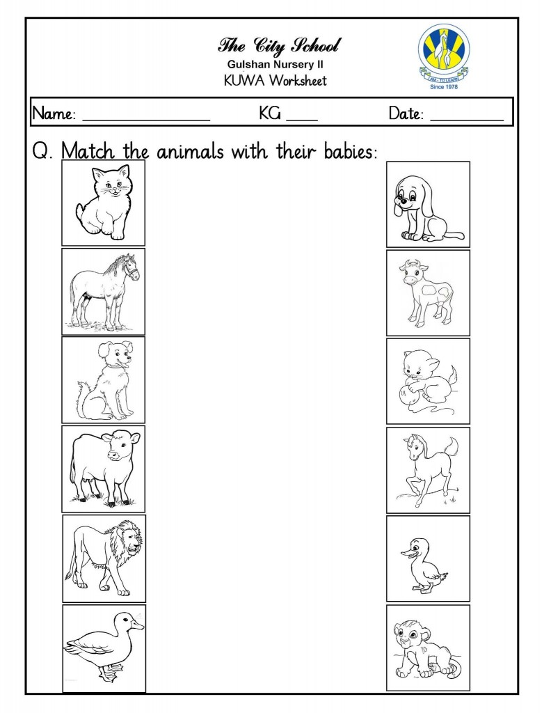 mammals-worksheets-for-kindergarten