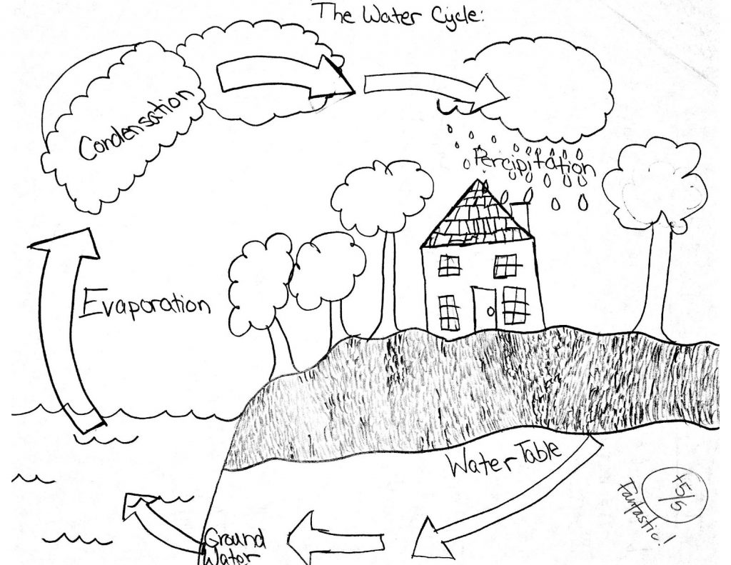 Math Worksheets Water Cycle Worksheet Forergarten Cycles In Nature