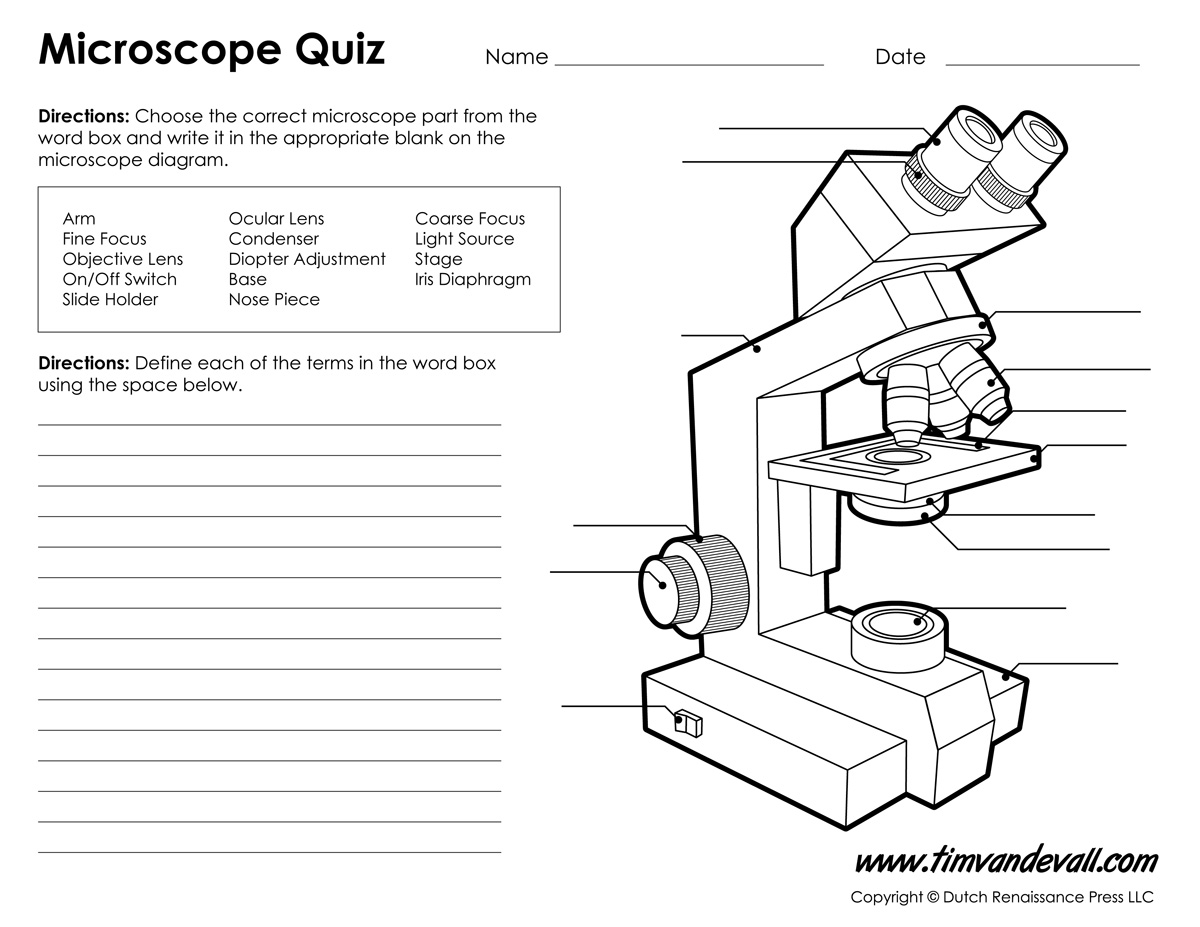 Microscope Worksheet