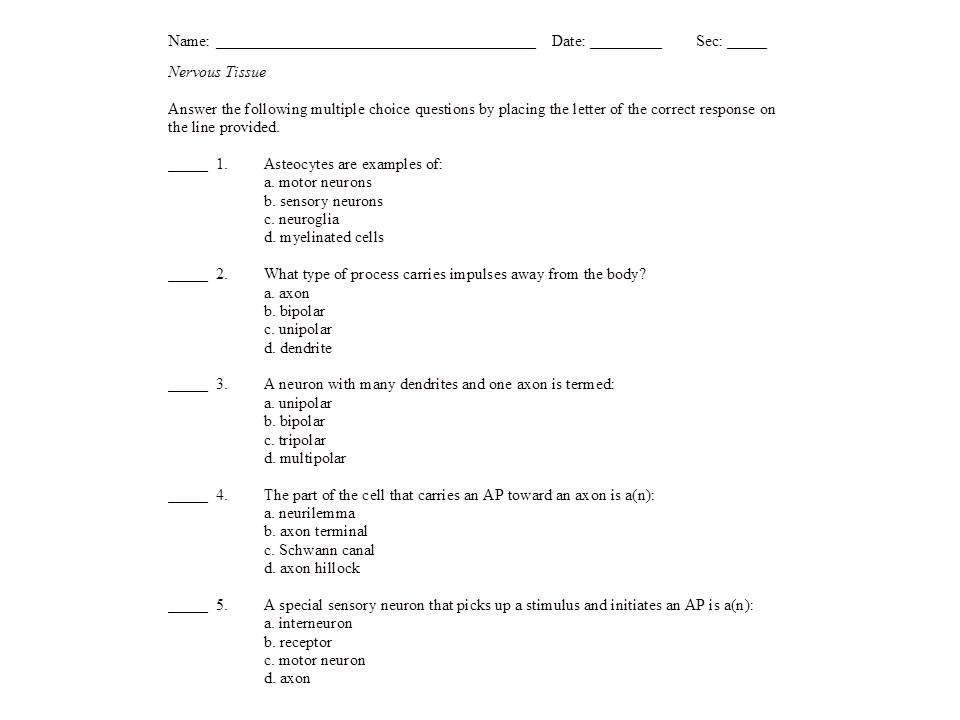 Nervous System Worksheet Answer Key 273714