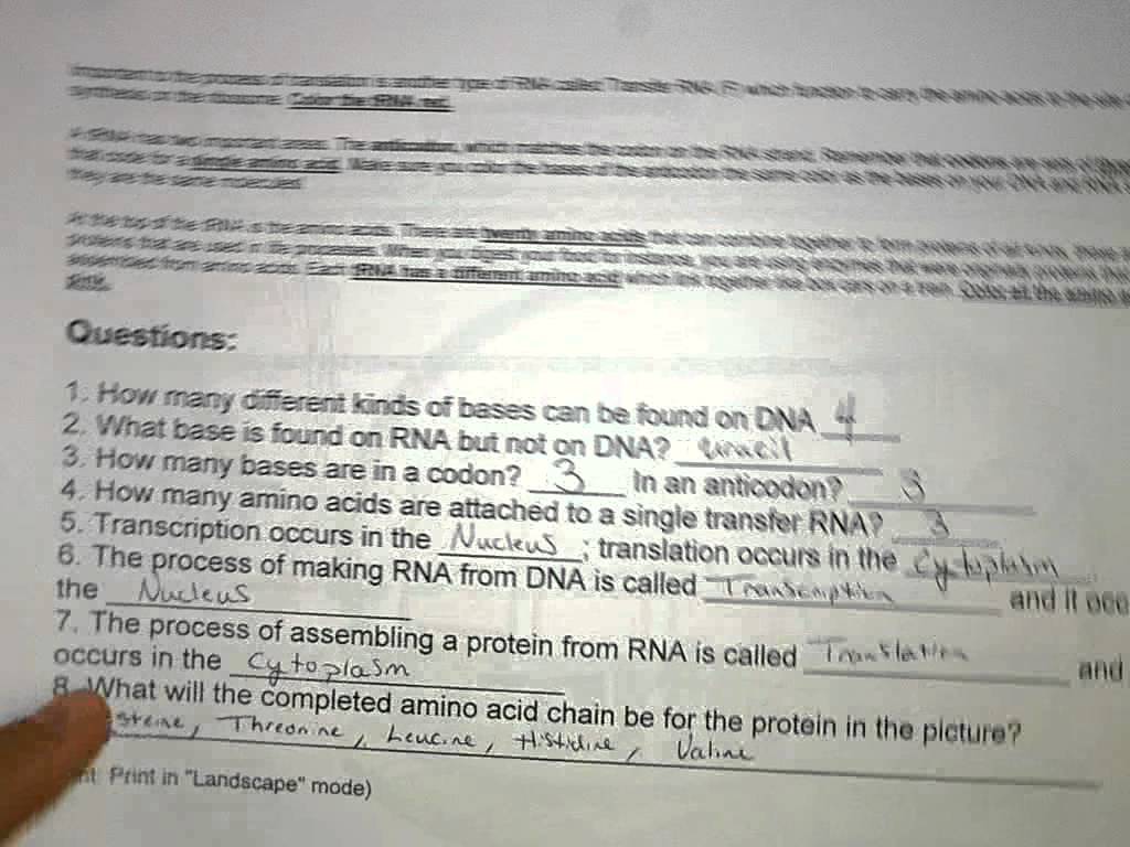 Protein Synthesis (translation) Worksheets Answers