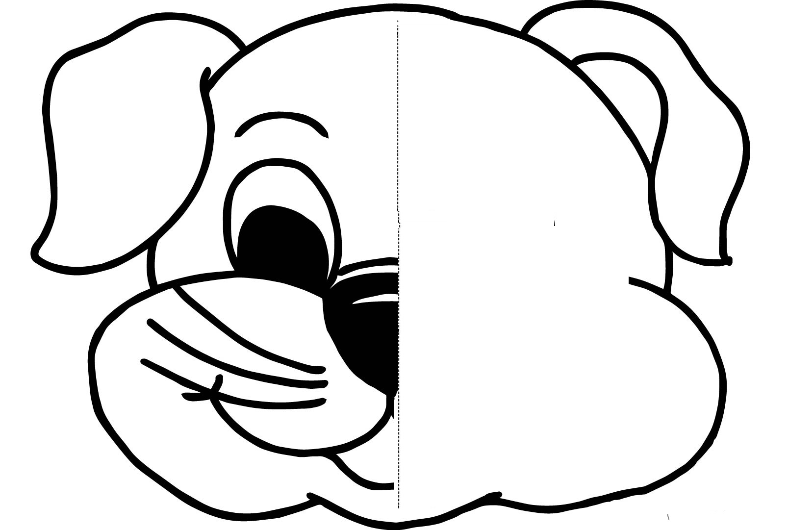 Remarkable Biological Symmetry Worksheet With Animal Symmetry
