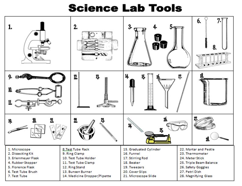 Science Lab Tools Worksheet