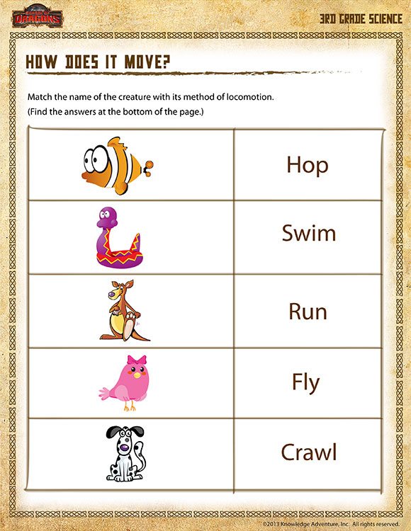 Science Worksheets For 3rd Grade Free The Best Worksheets Image