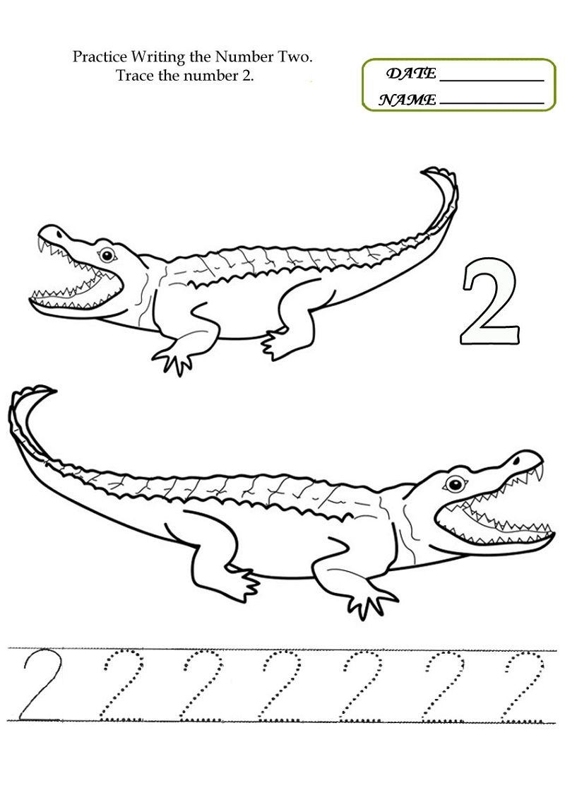 Tracing The Number 2