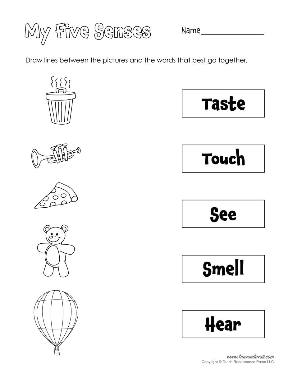 Worksheet Senses Pdf
