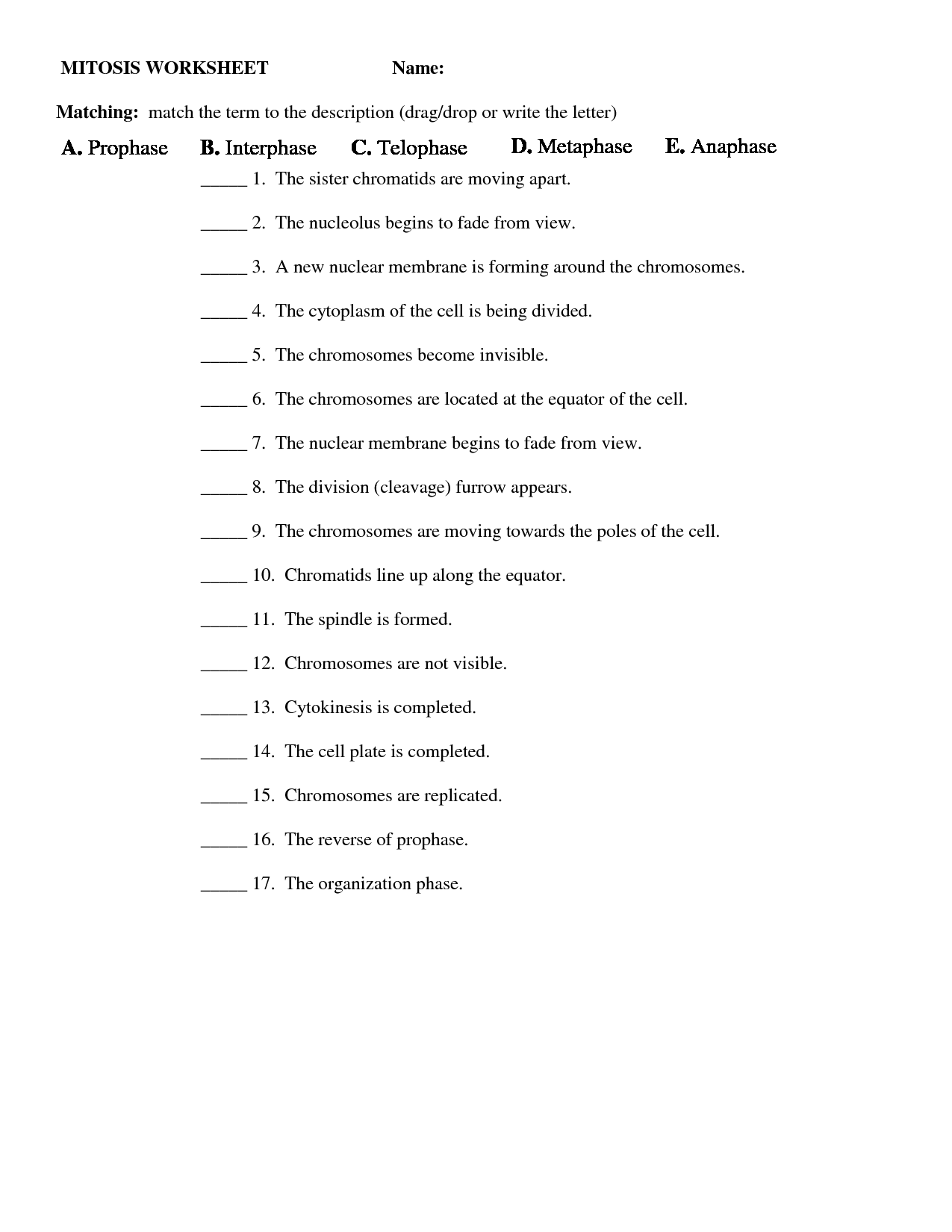 39 Onion Cell Mitosis Worksheet Answers, Gallery For Mitosis