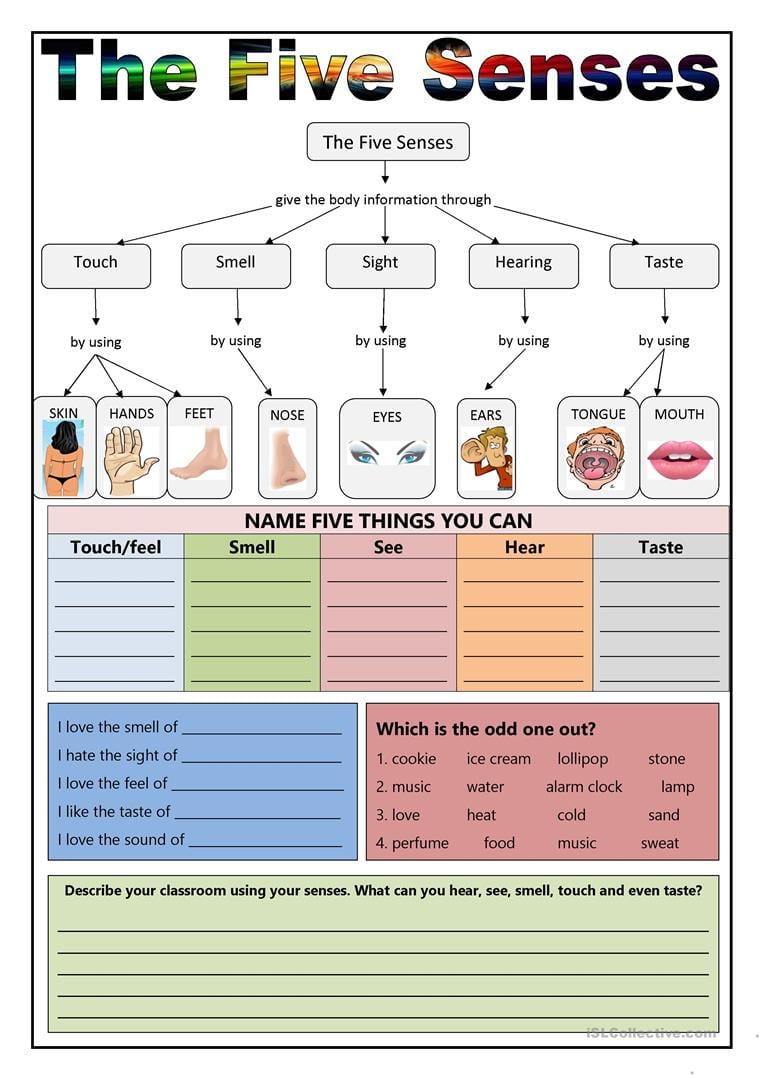 sense-verbs-worksheets