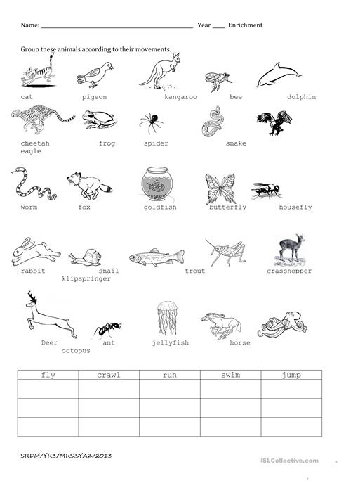 Animal Movement Worksheets For Kindergarten 429176