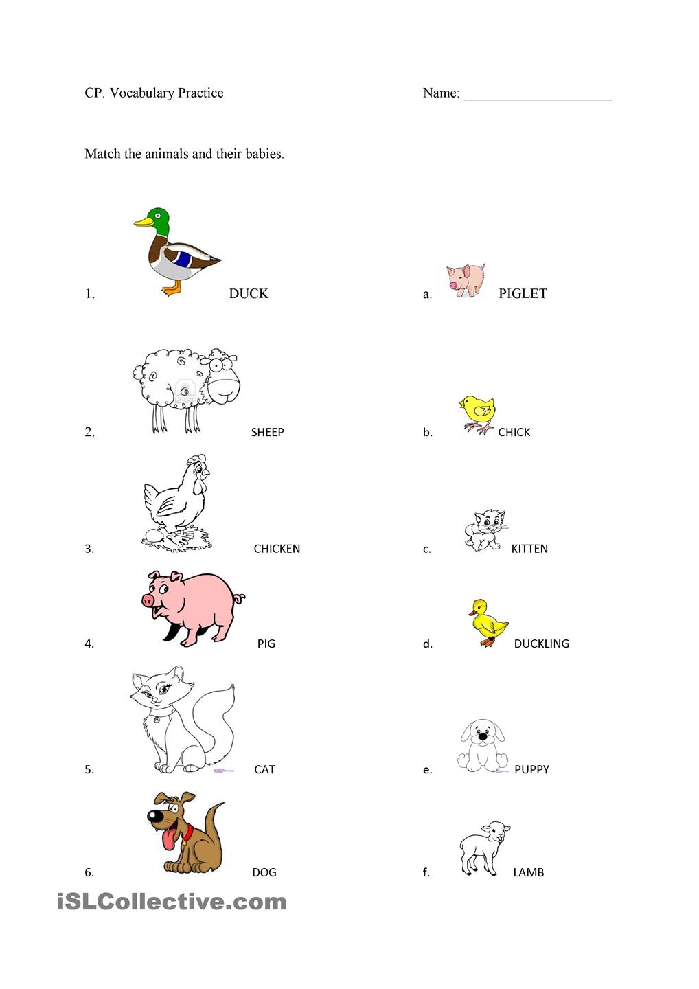 Animals And Their Babies Worksheets For Kindergarten Pdf 908381