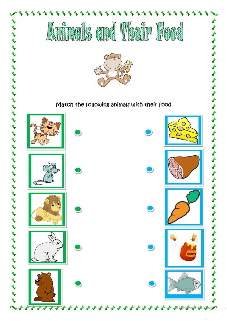 Animals And Their Food Worksheet