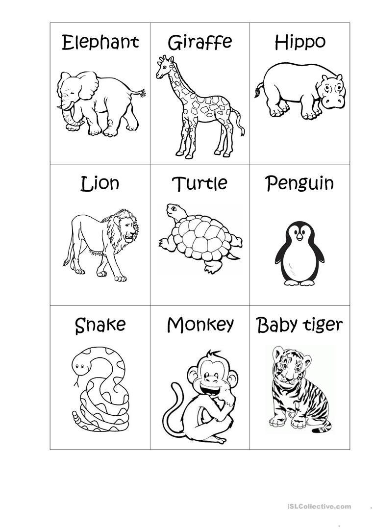 Animals Worksheets For Kindergarten The Best Worksheets Image