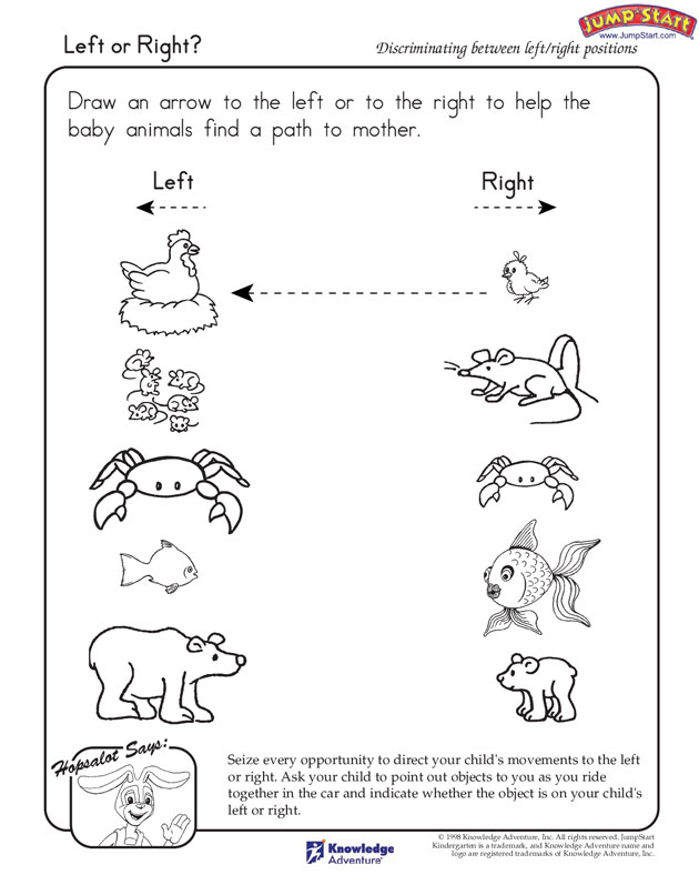 Baby Animals Worksheets Kindergarten Image Collections
