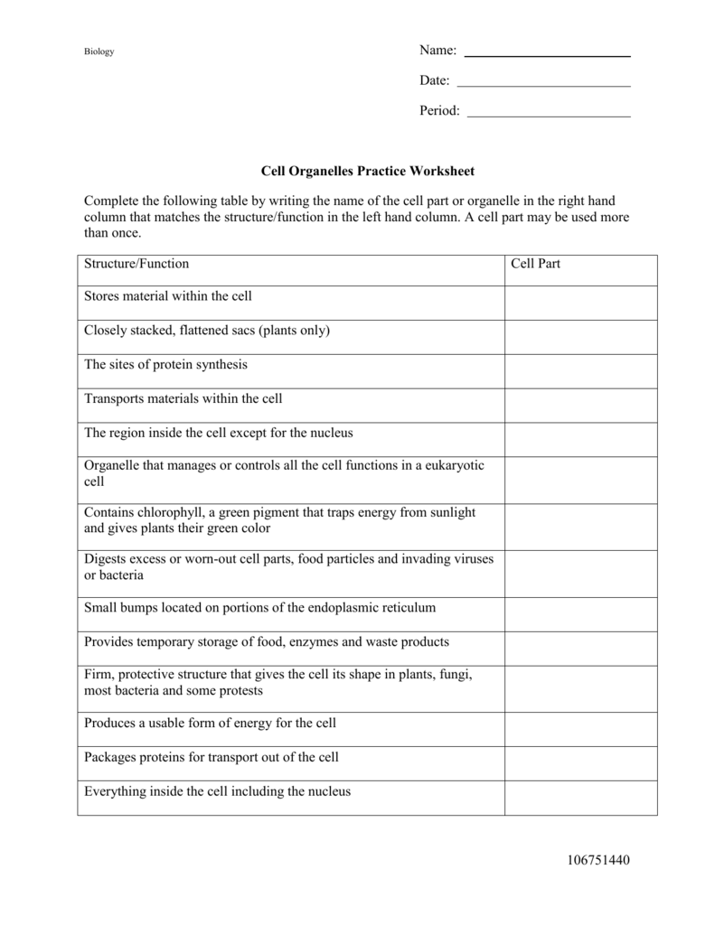 Cell Organelle Worksheets Answer Key