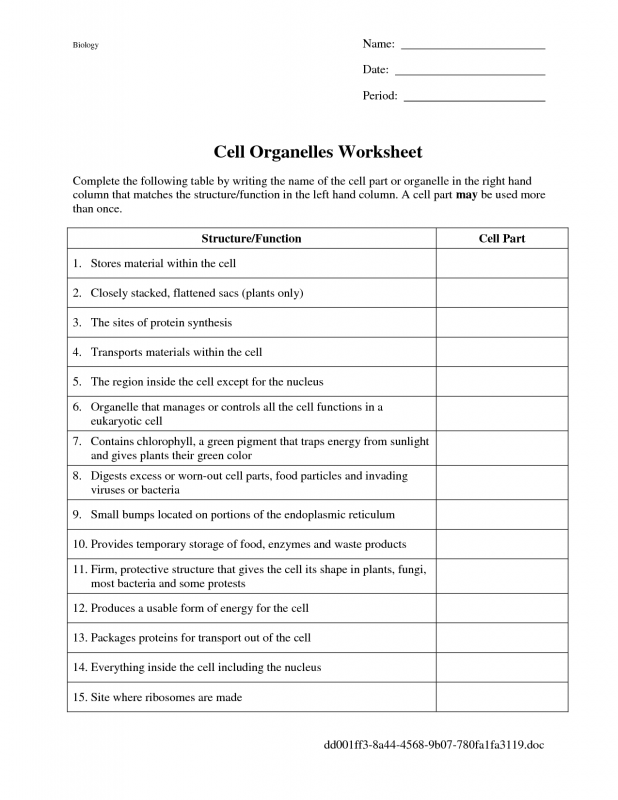 Cell Organelles Worksheet Answer Key Biology 397721