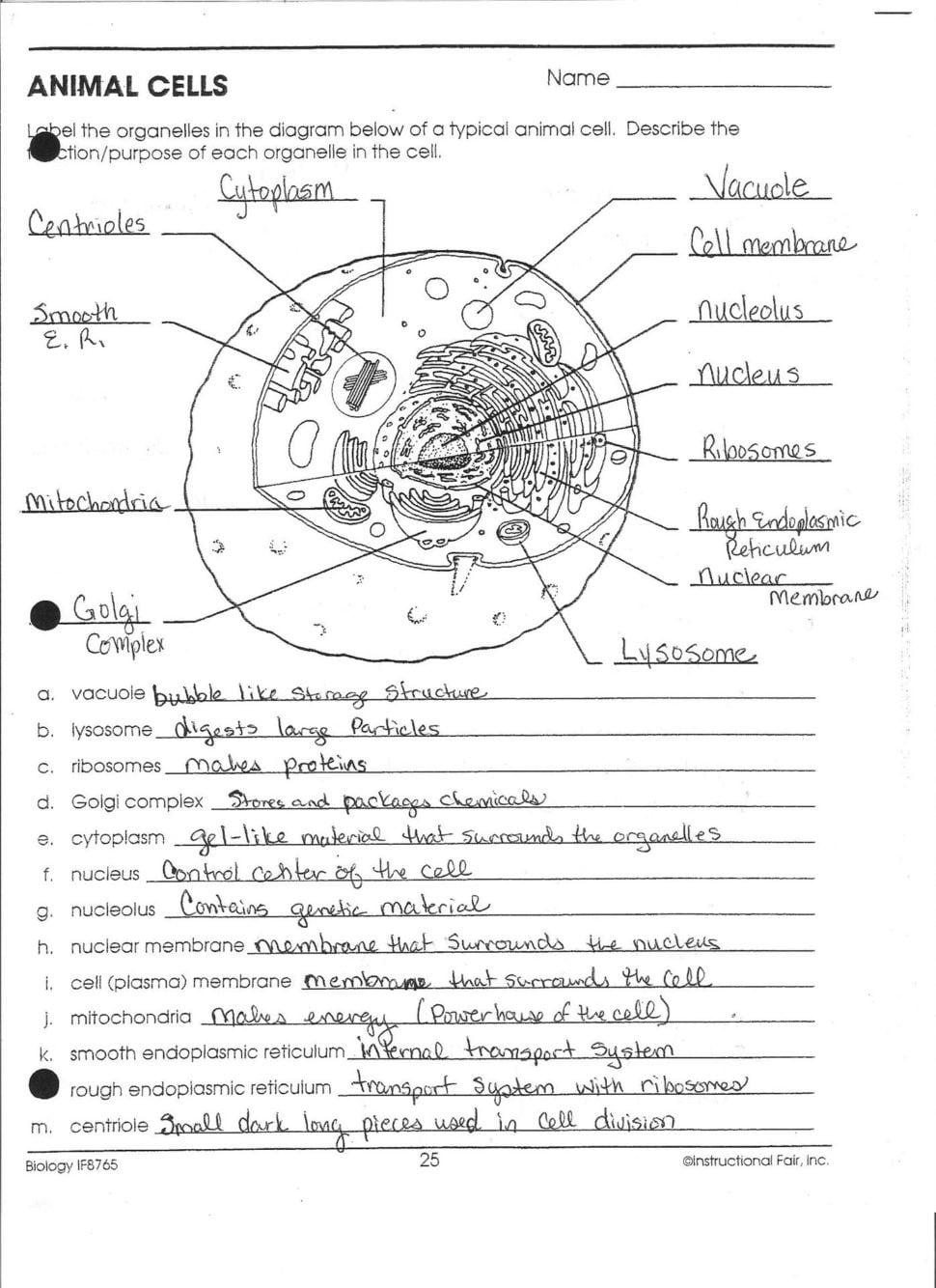 Collection Of Animal Cells Worksheet