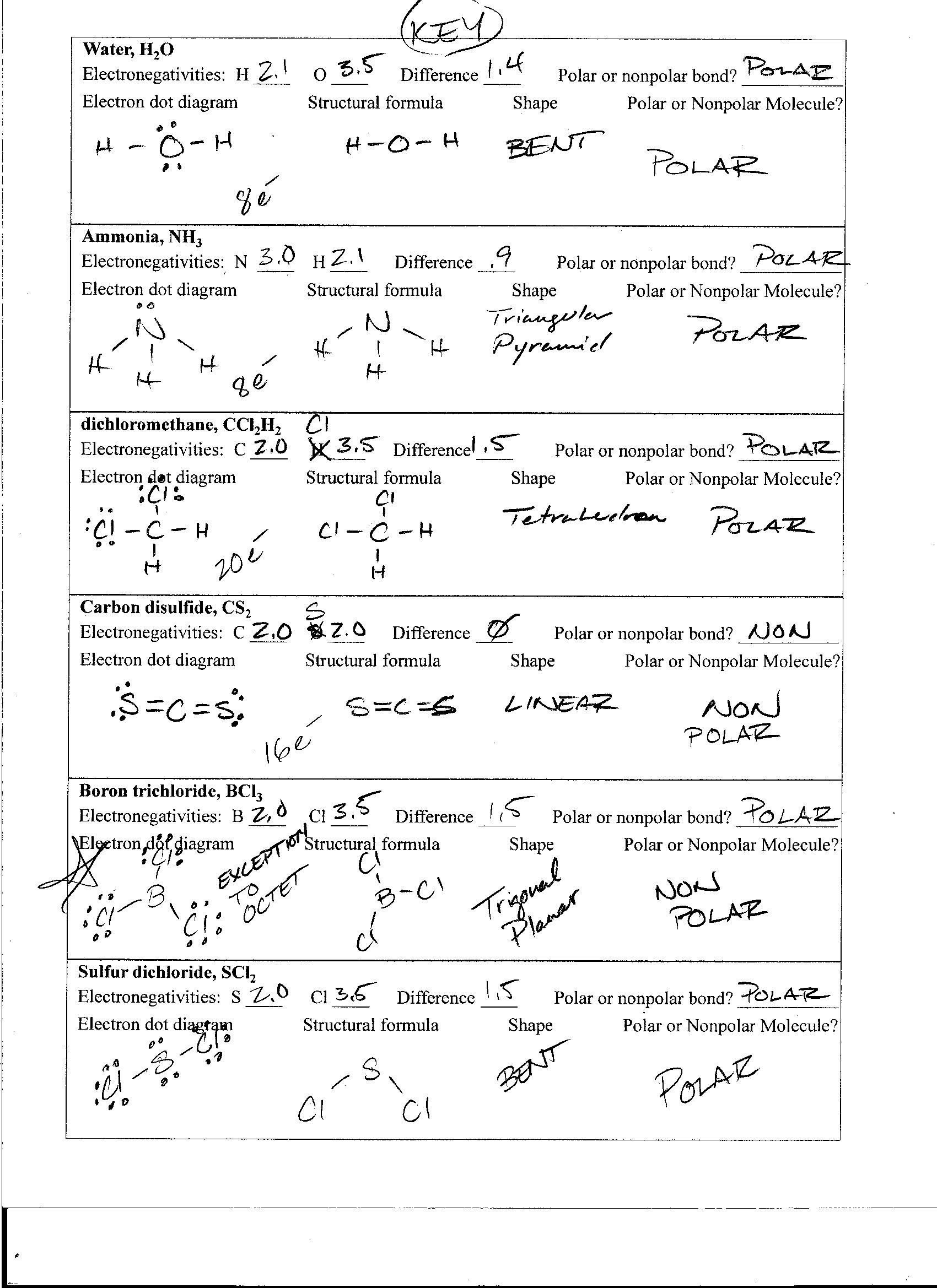 Collection Of Worksheet Polarity Of Bonds Key