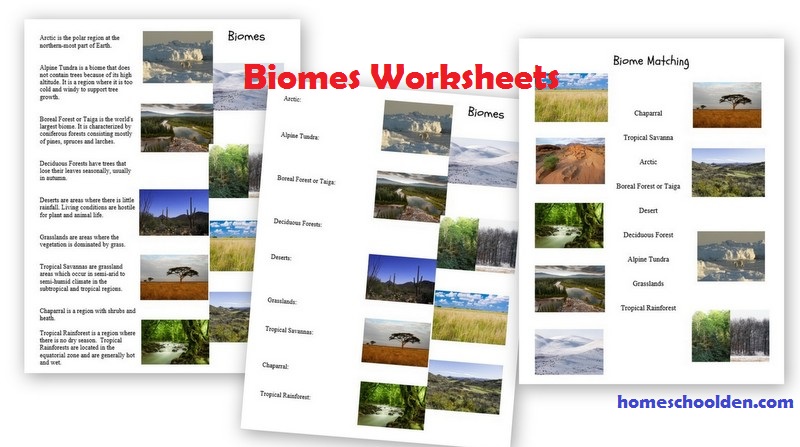 Ecosystems Of The World Worksheets The Best Worksheets Image