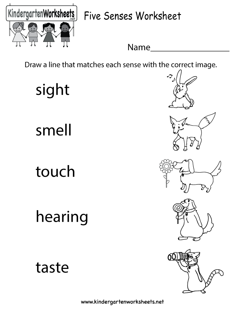 Five Senses Worksheets For Kindergarten Unique Kindergarten 5