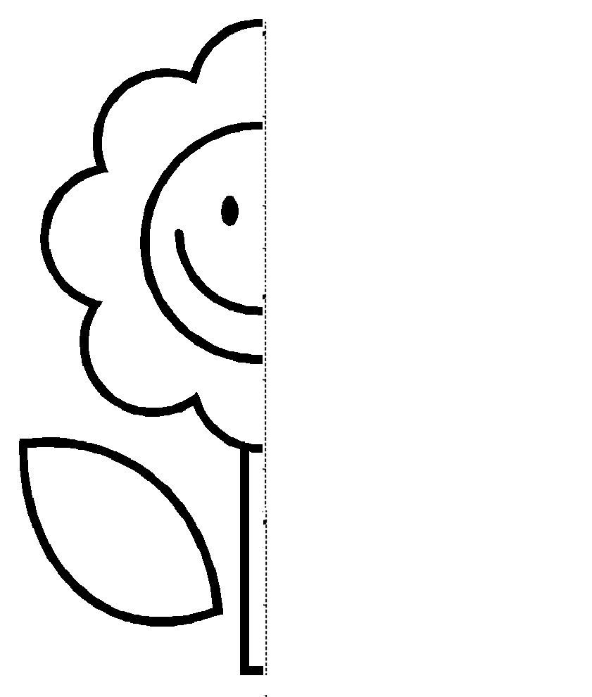 Flower Symmetry Activity Coloring Pages