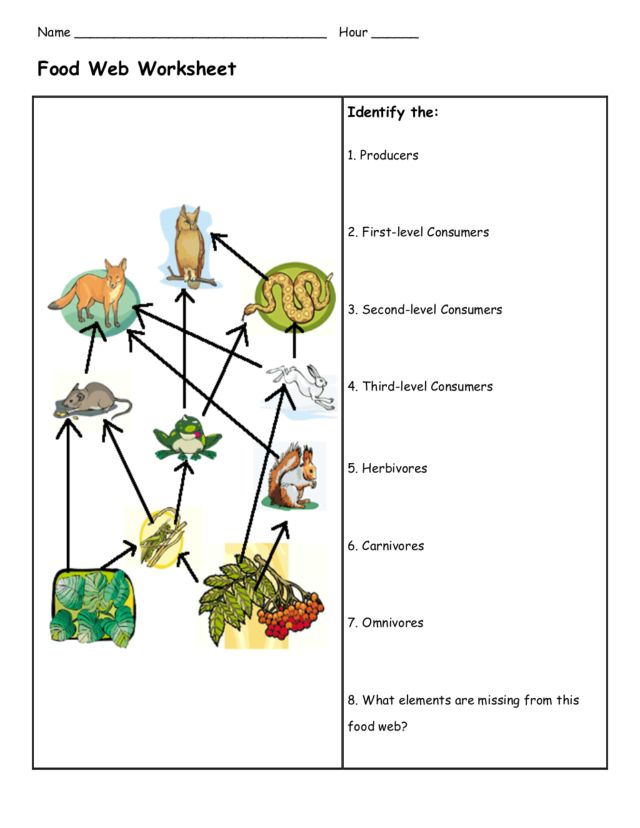 Food Chains And Food Webs Worksheets The Best Worksheets Image