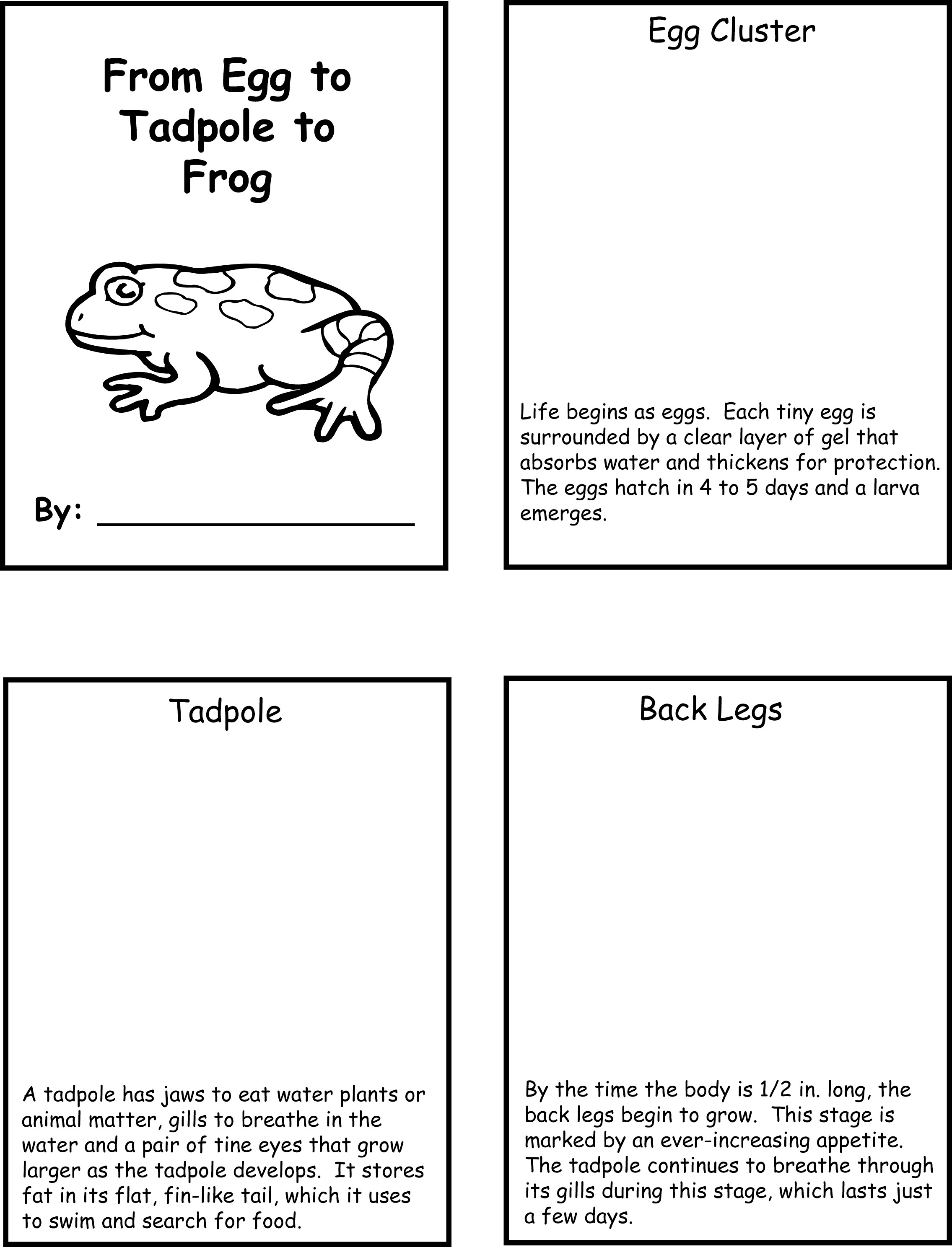 Heat Worksheet Second Grade New Kids 3rd Grade Science Worksheet