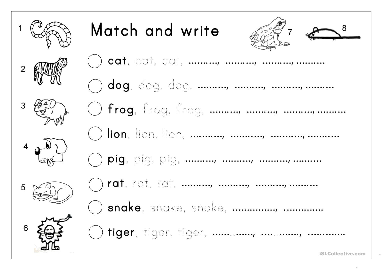 Matching, Letter Tracing, Writing