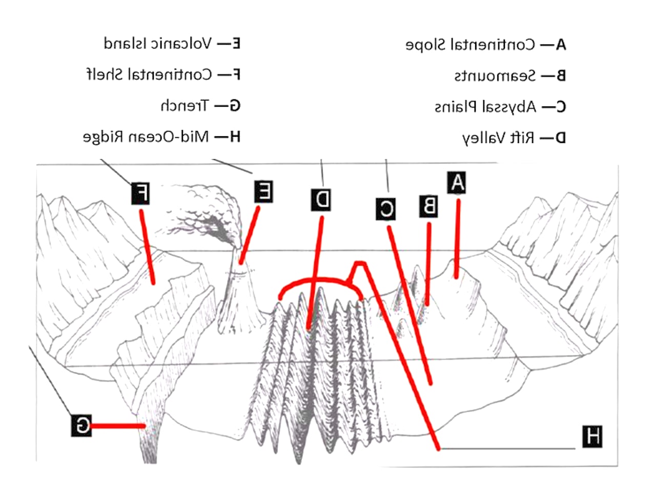 Ocean Floor Diagram Worksheet Original Pictures Science Resources