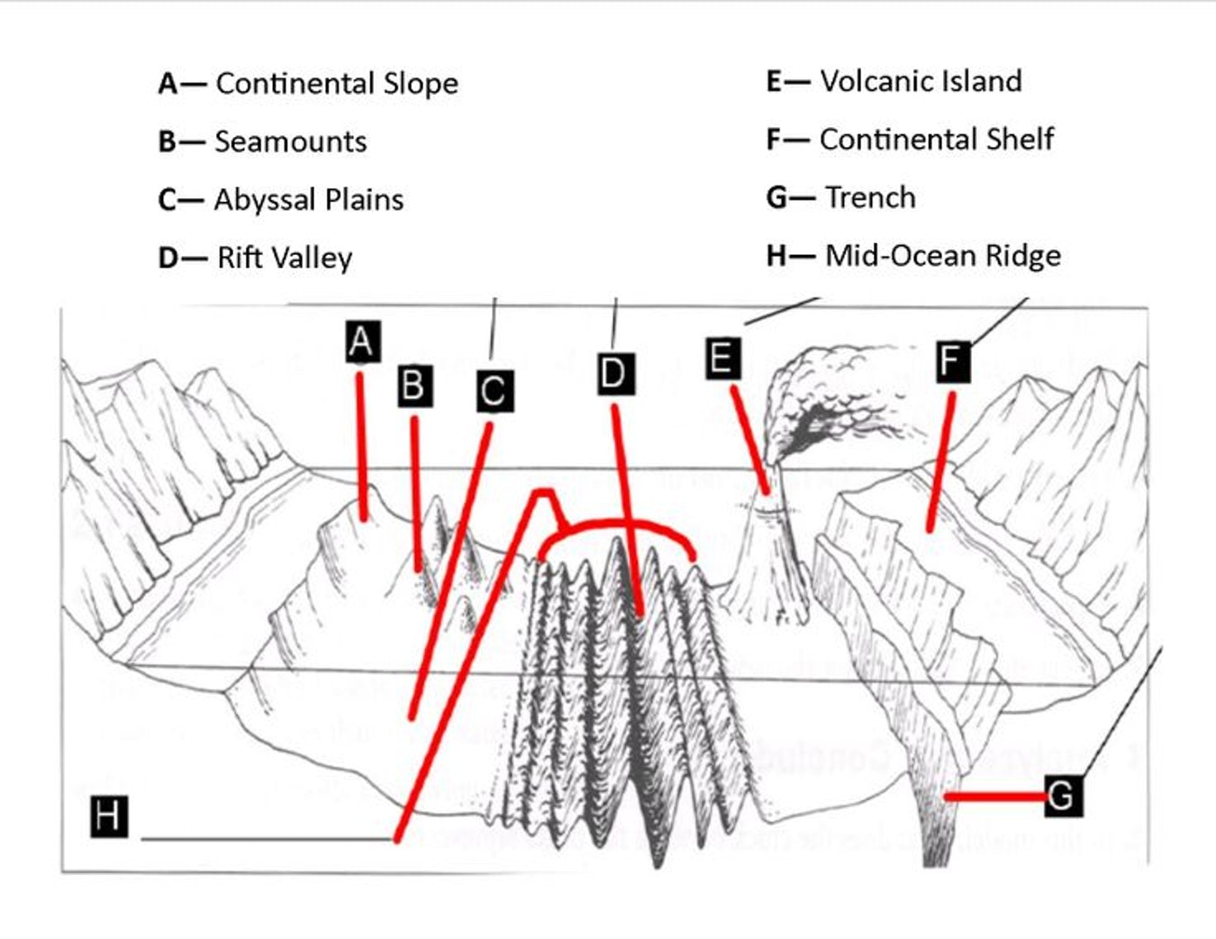 Ocean Floor Diagram Worksheet Science Resources Ideas Great