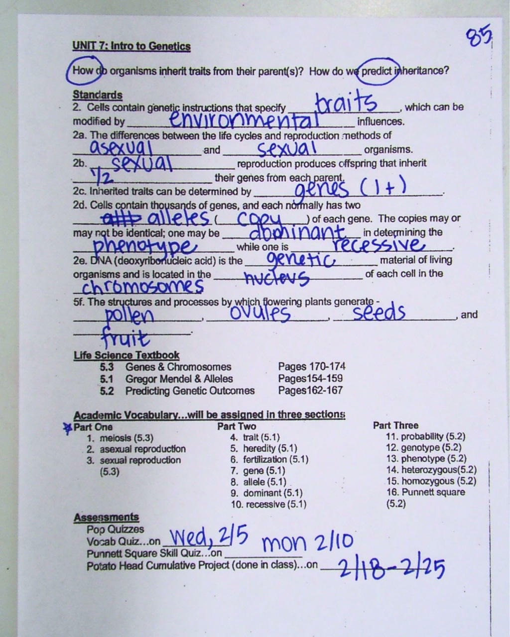 Osmosis Jones Worksheet Answers Worksheets For All