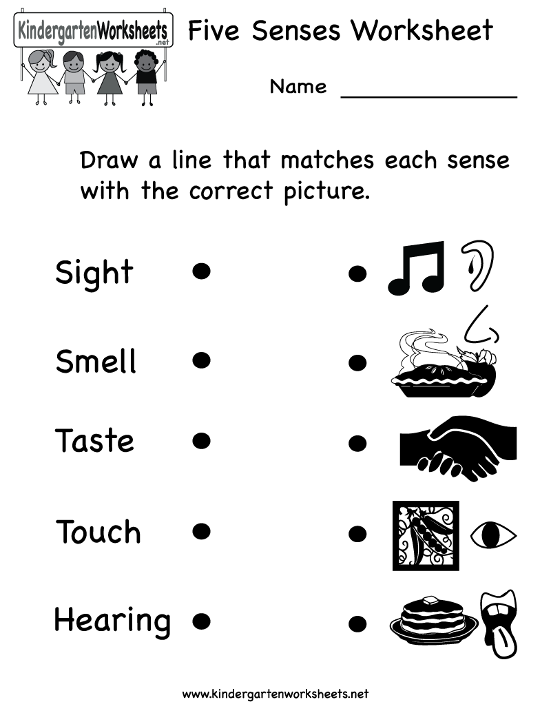 Senses Worksheets Pdf Five For Preschoolers Preschool Worksheet 5