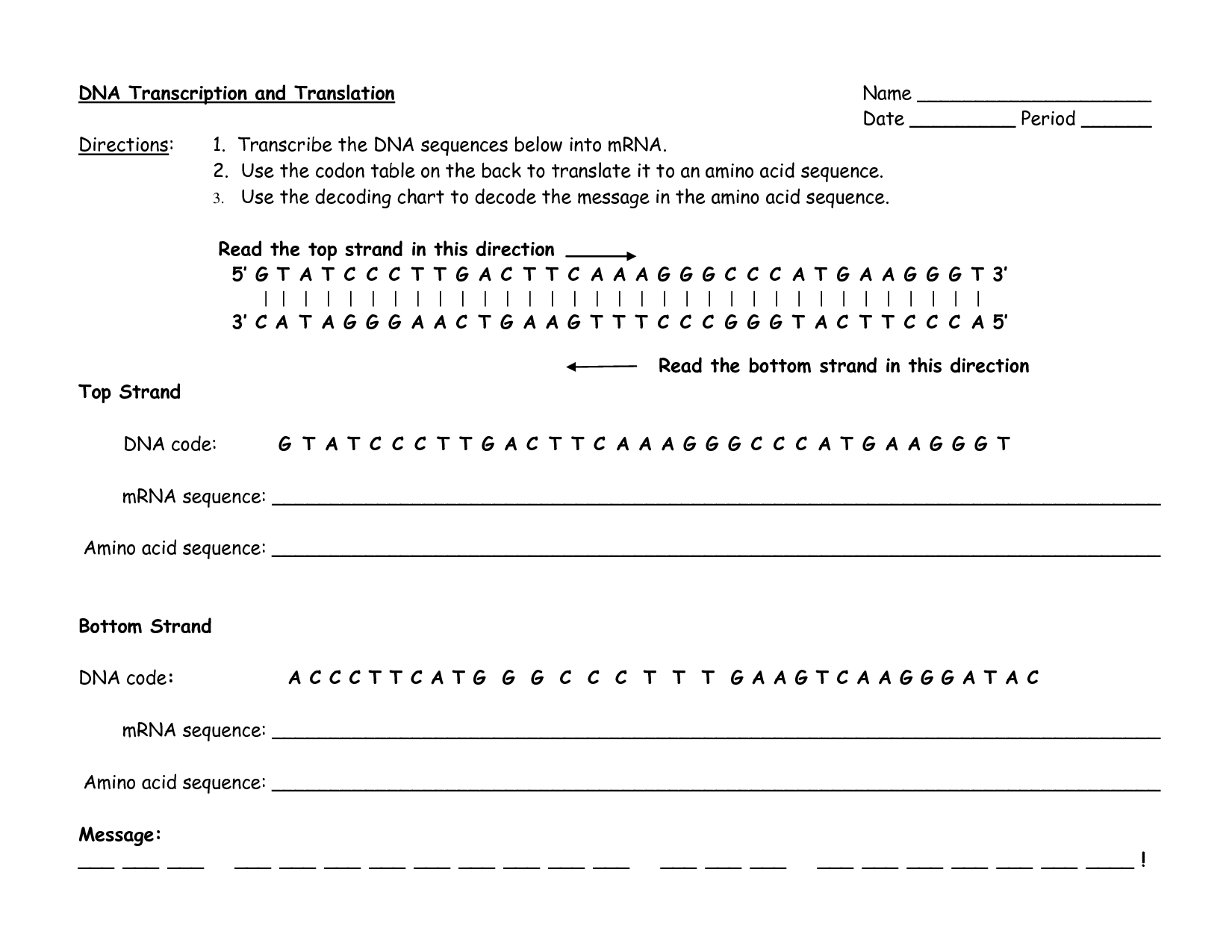 Solved Dna Transcription And Translation Directions 1 T Worksheet