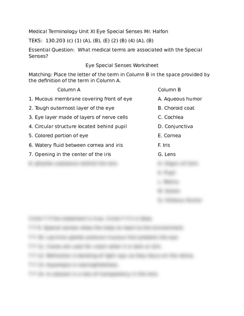 Special Senses Worksheet The Best Worksheets Image Collection