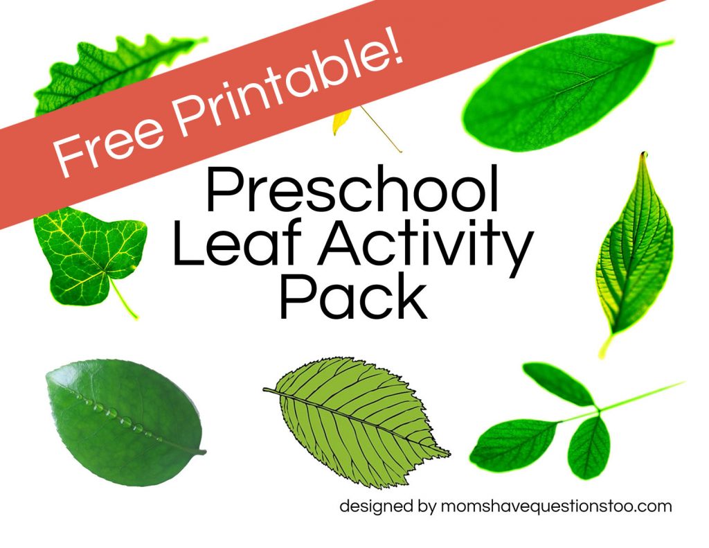Shapes Of Leaves Worksheets