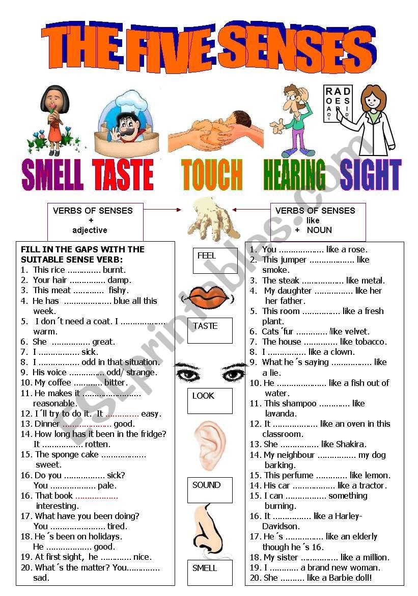 sense-verbs-worksheets