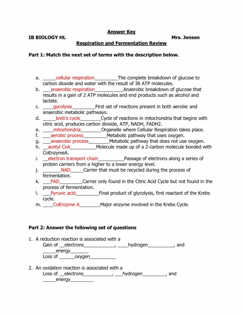 Worksheet   Nutrition Label Worksheet Answers Picture Of Nutrition