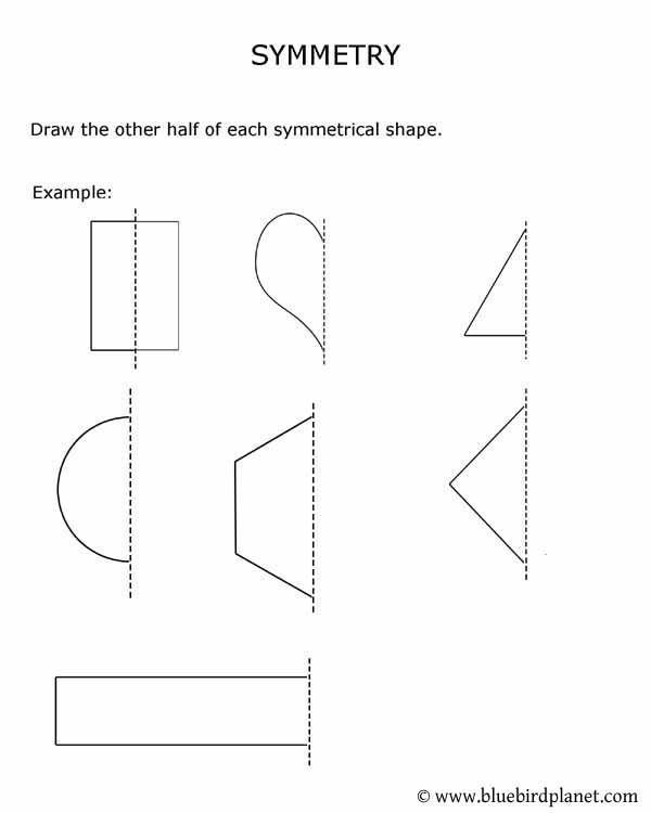 Worksheet For Symmetry Gallery