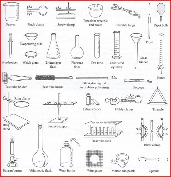 Worksheet Science Lab Equipment 418873